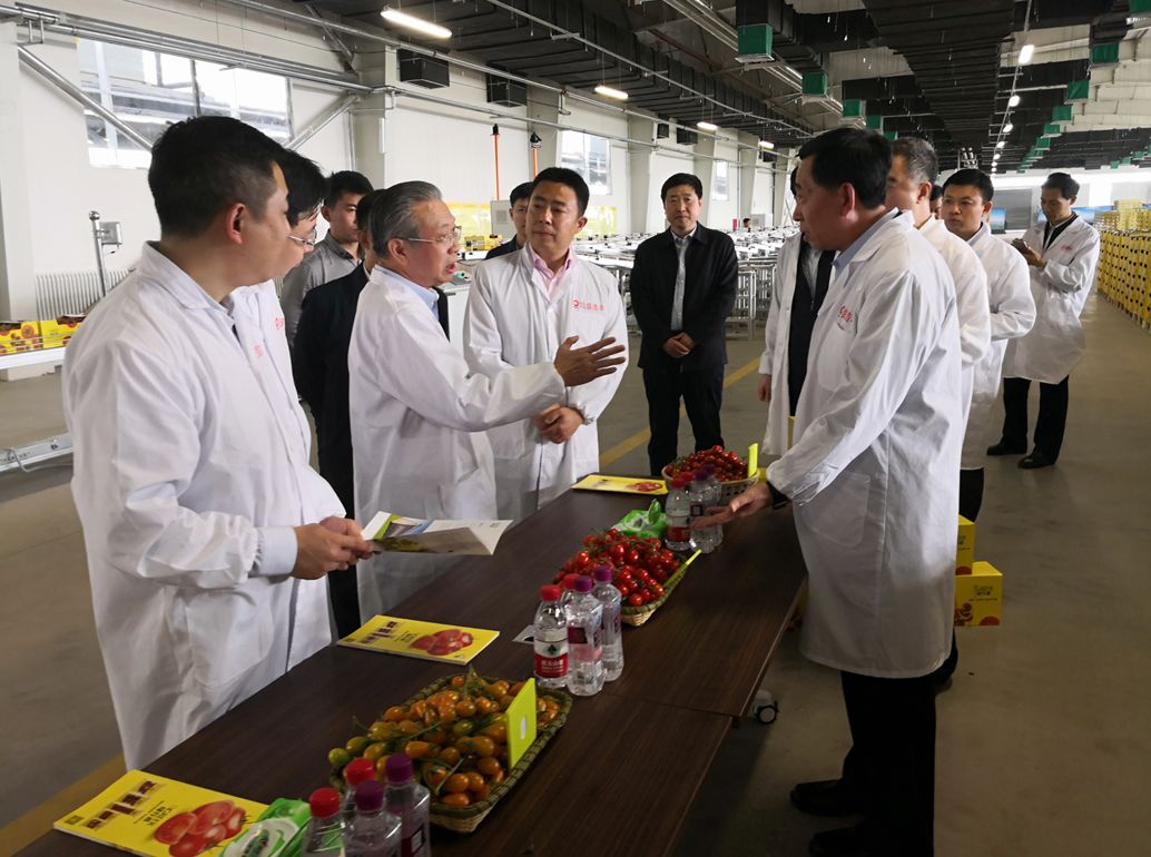 今年会·jnh(中国区)官方网站入口