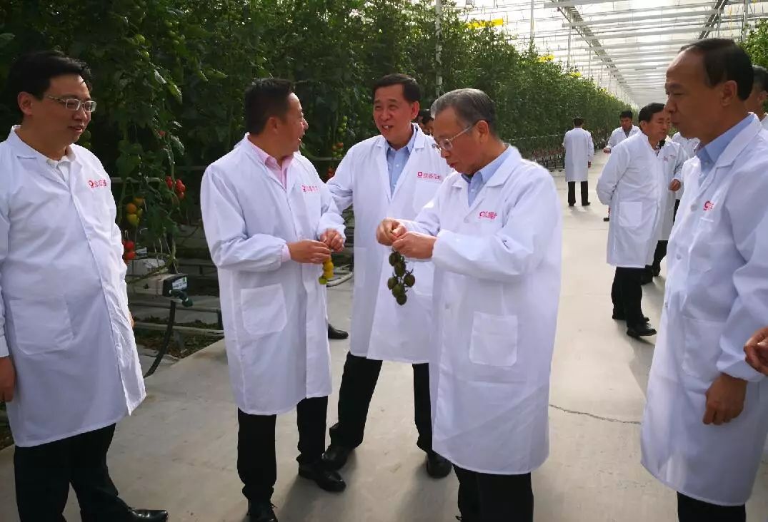 今年会·jnh(中国区)官方网站入口