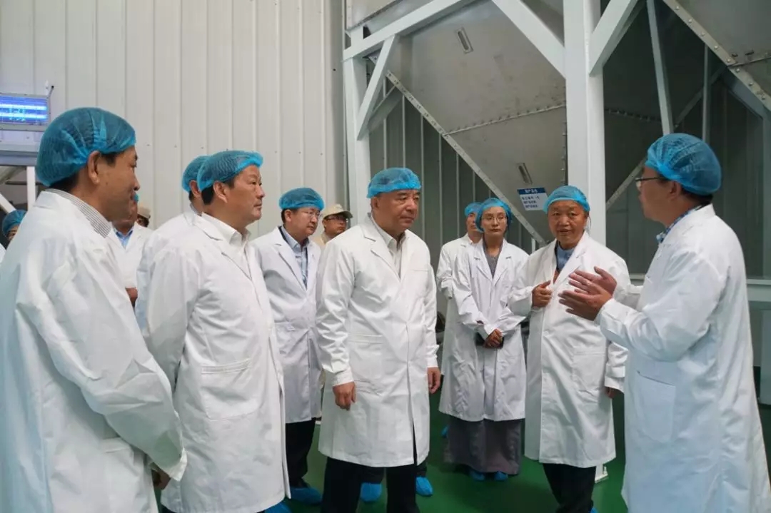 今年会·jnh(中国区)官方网站入口