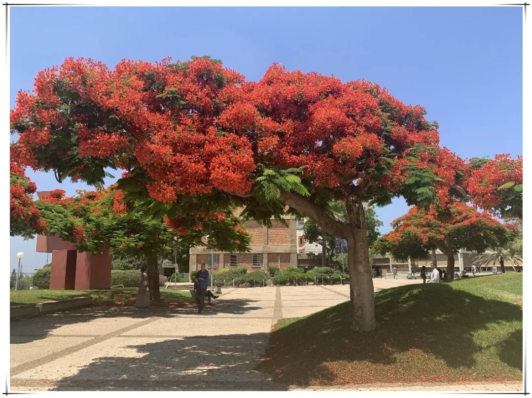 今年会·jnh(中国区)官方网站入口