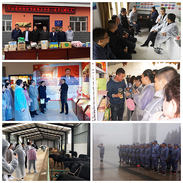 今年会·jnh(中国区)官方网站入口