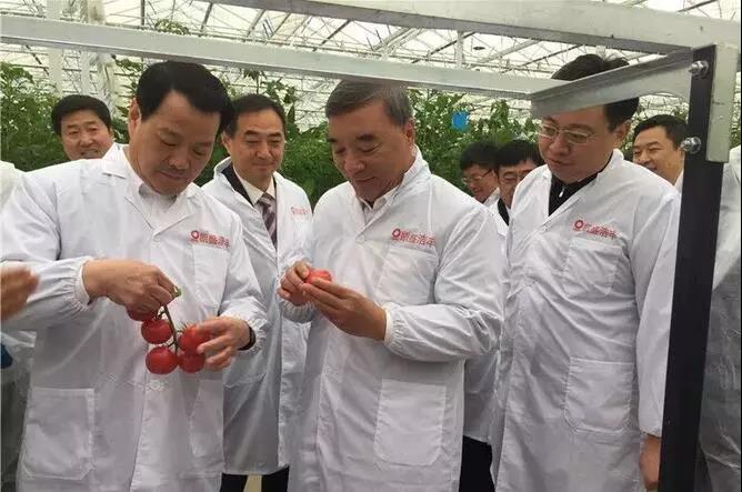 今年会·jnh(中国区)官方网站入口