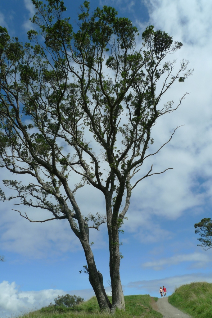 今年会·jnh(中国区)官方网站入口
