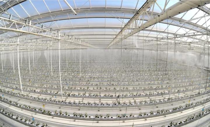 今年会·jnh(中国区)官方网站入口