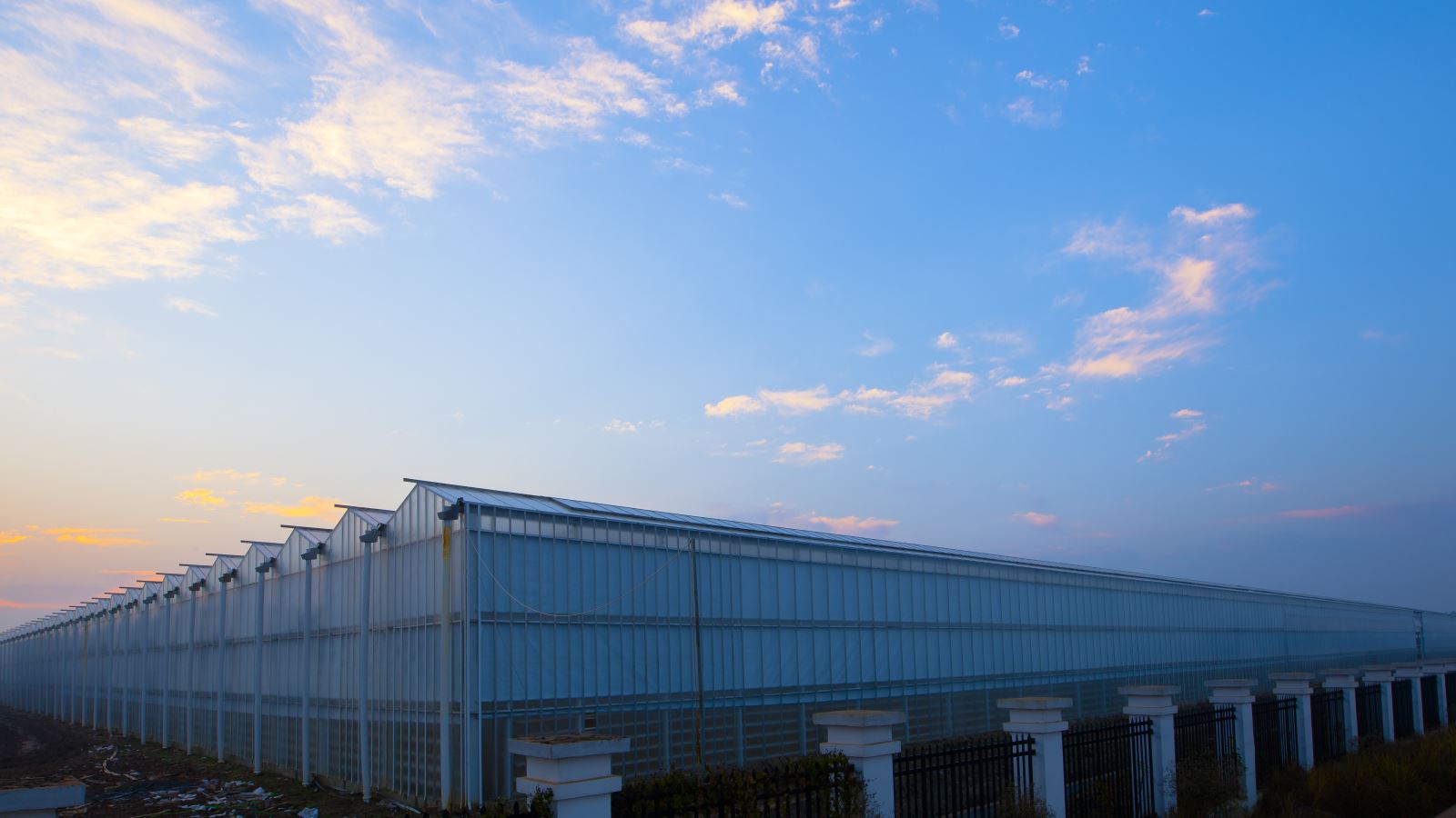 今年会·jnh(中国区)官方网站入口