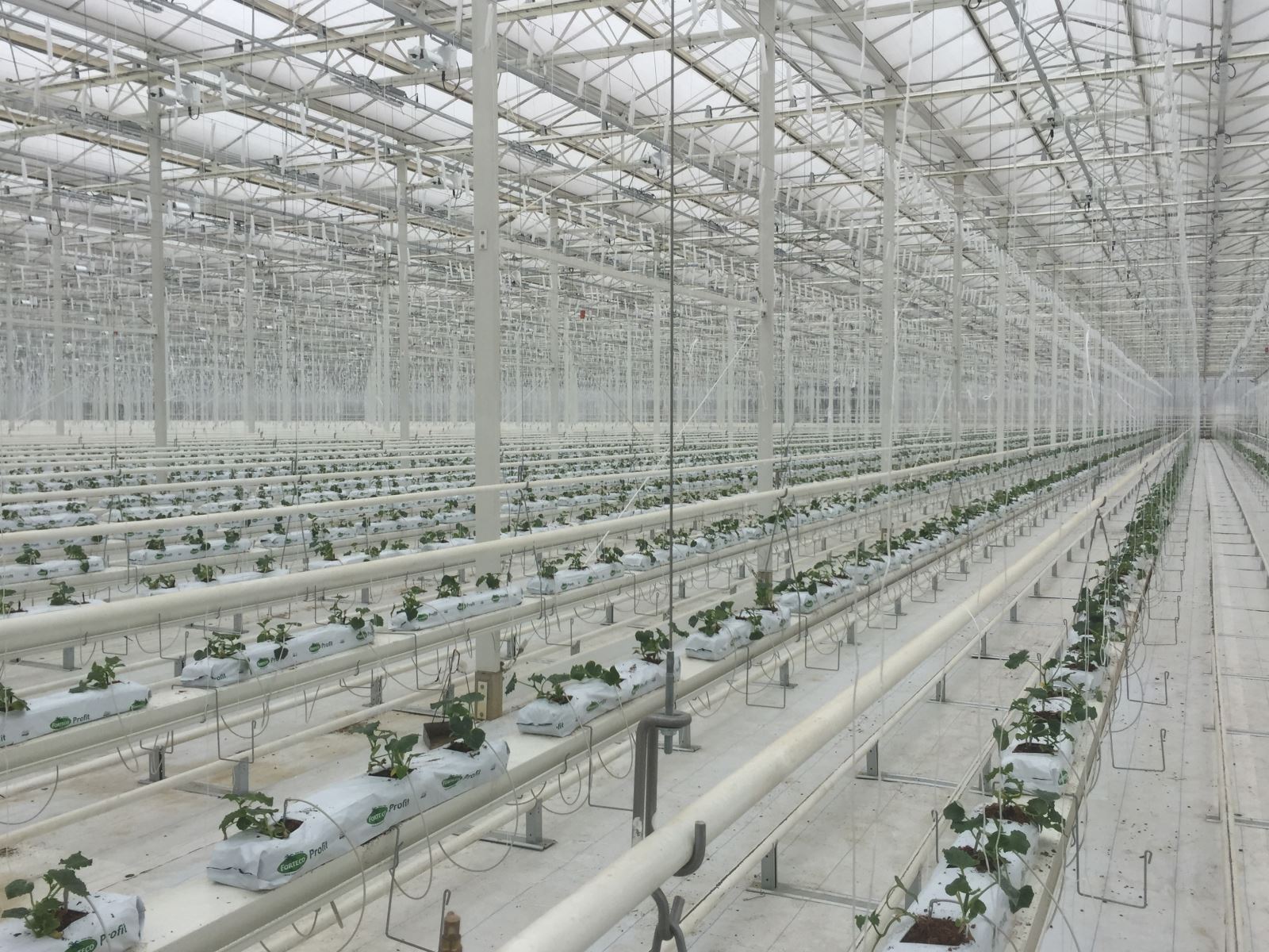 今年会·jnh(中国区)官方网站入口