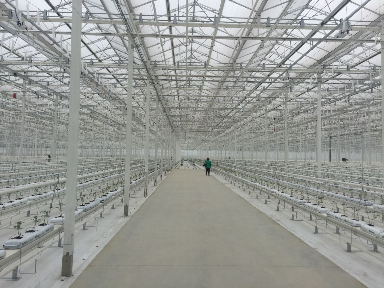 今年会·jnh(中国区)官方网站入口