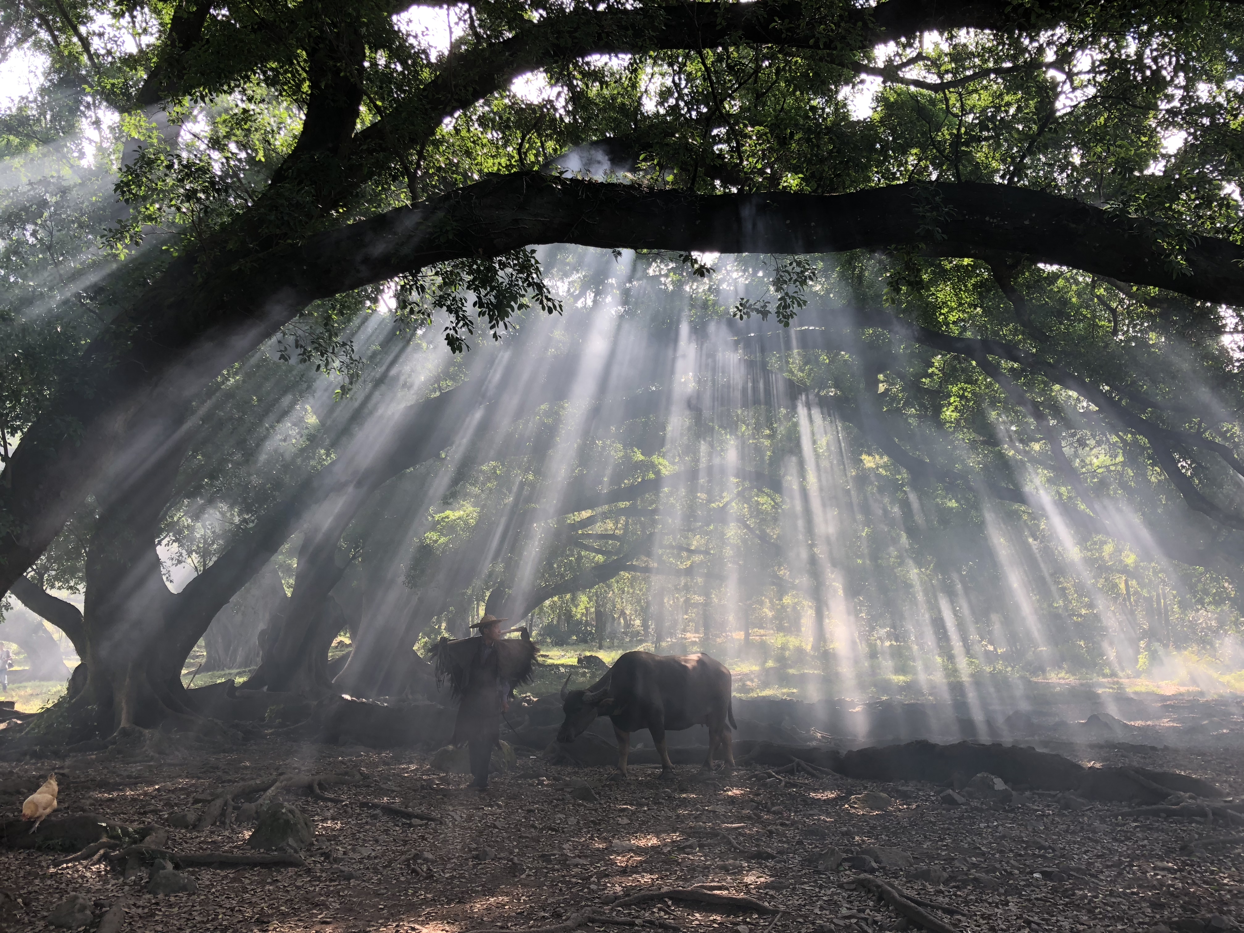 今年会·jnh(中国区)官方网站入口