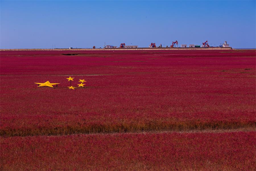 今年会·jnh(中国区)官方网站入口