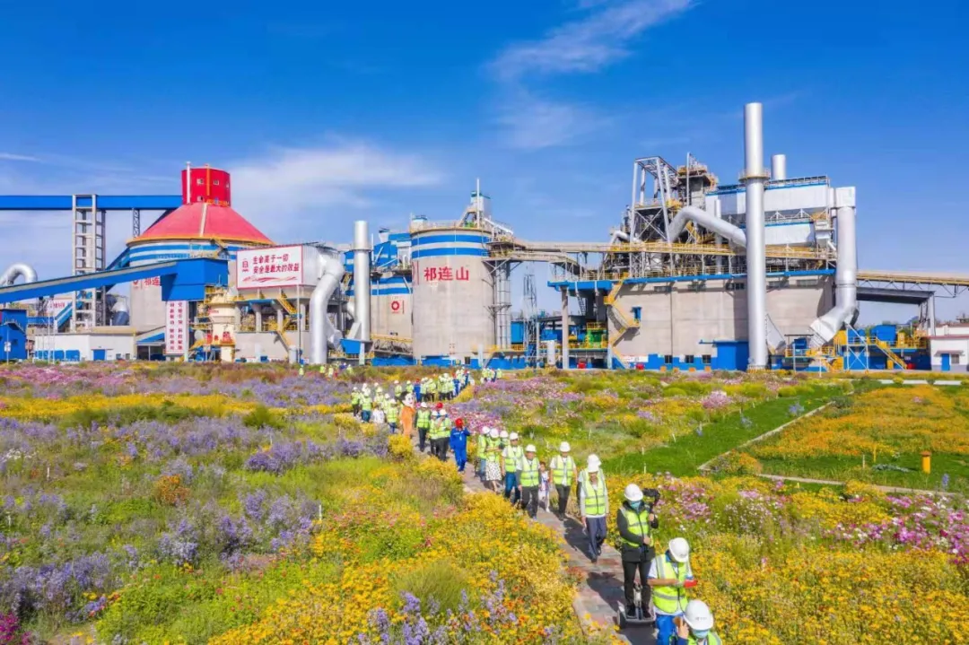 走进“善用资源日”盛开企业，来今年会jnh花海工厂打卡吧！