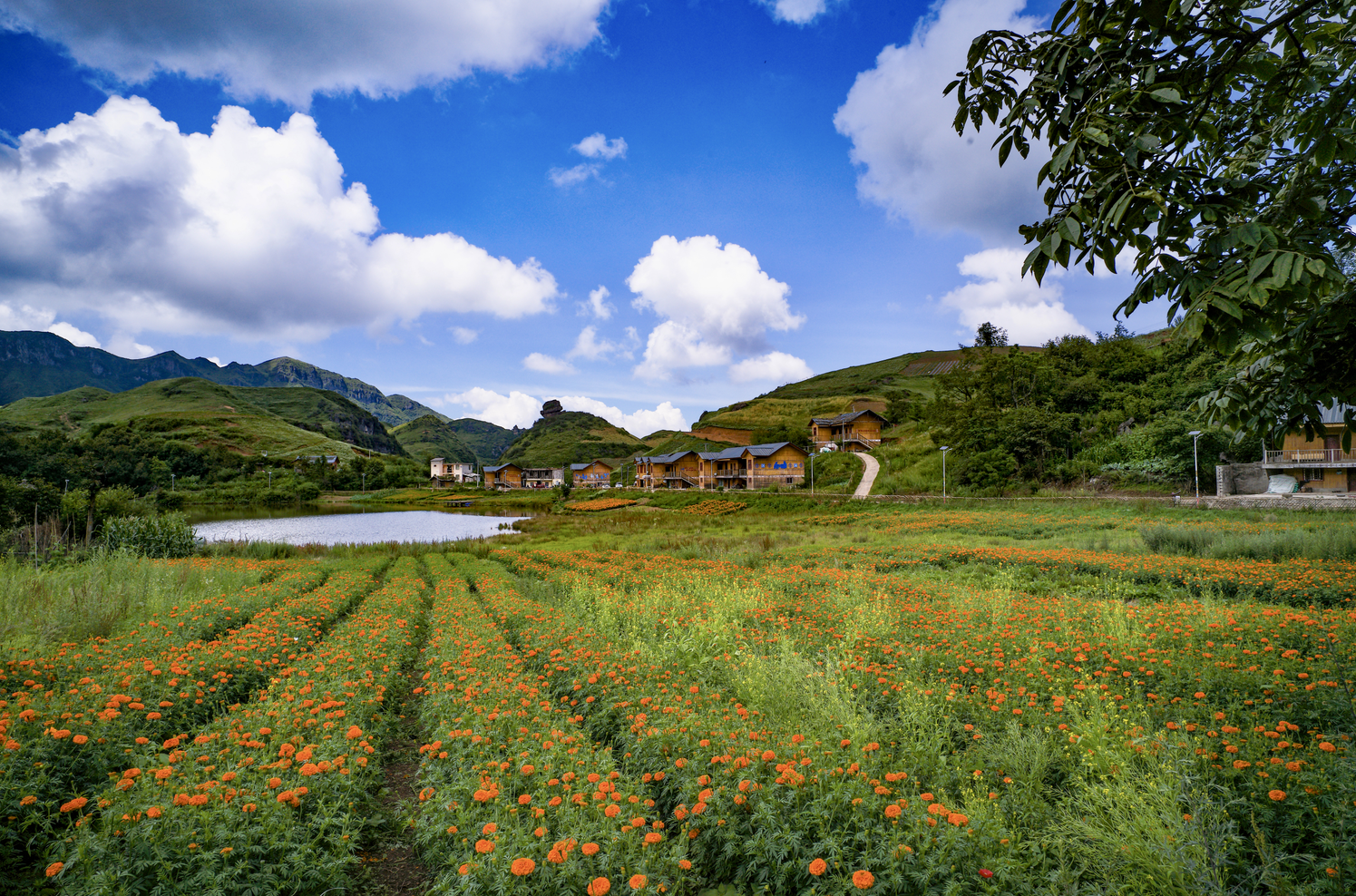 今年会·jnh(中国区)官方网站入口