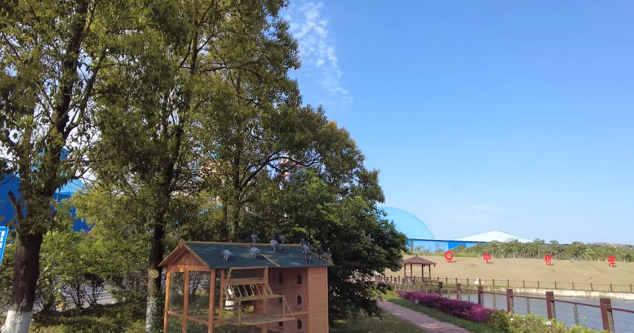 春来好时光，花圃工厂朝气勃勃