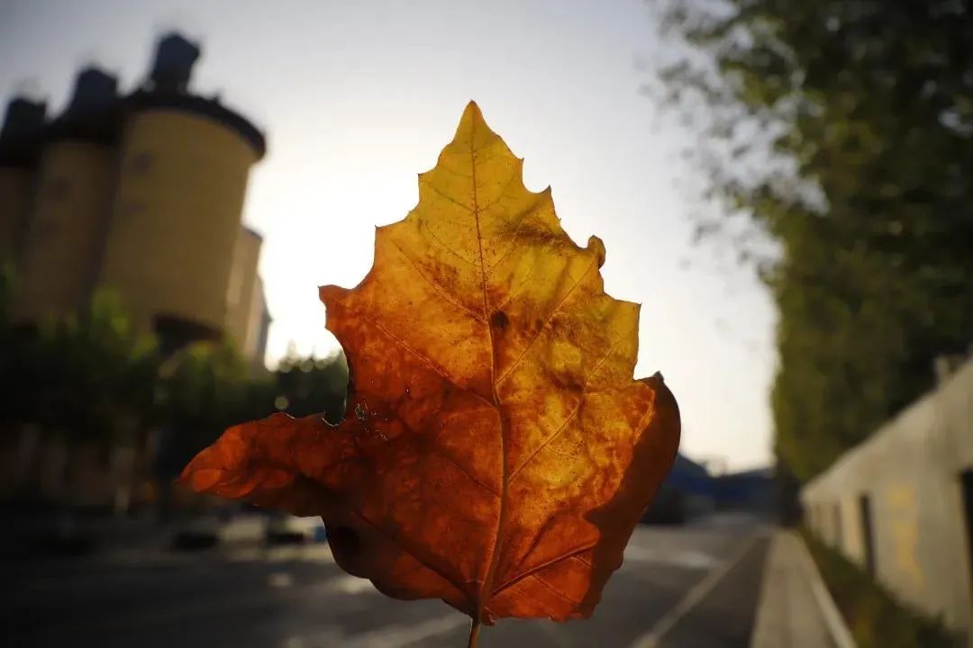 20201102093332987413