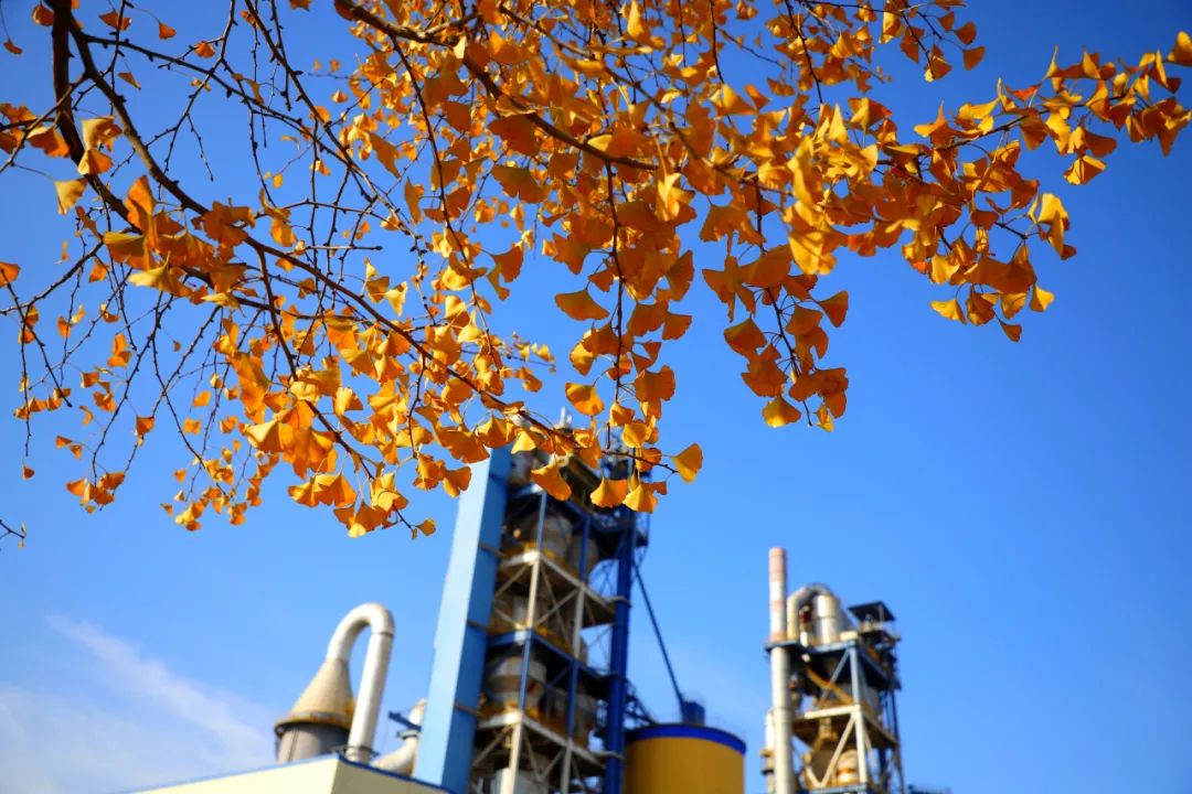 20201109094139374615