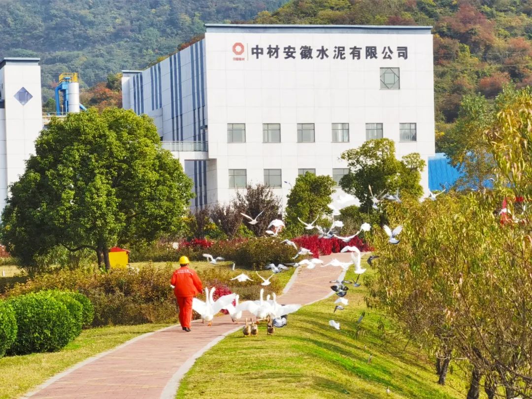 20201109094139499418