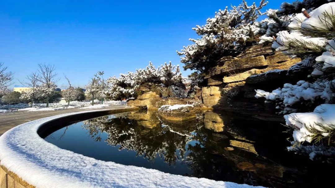 20210126100243197019