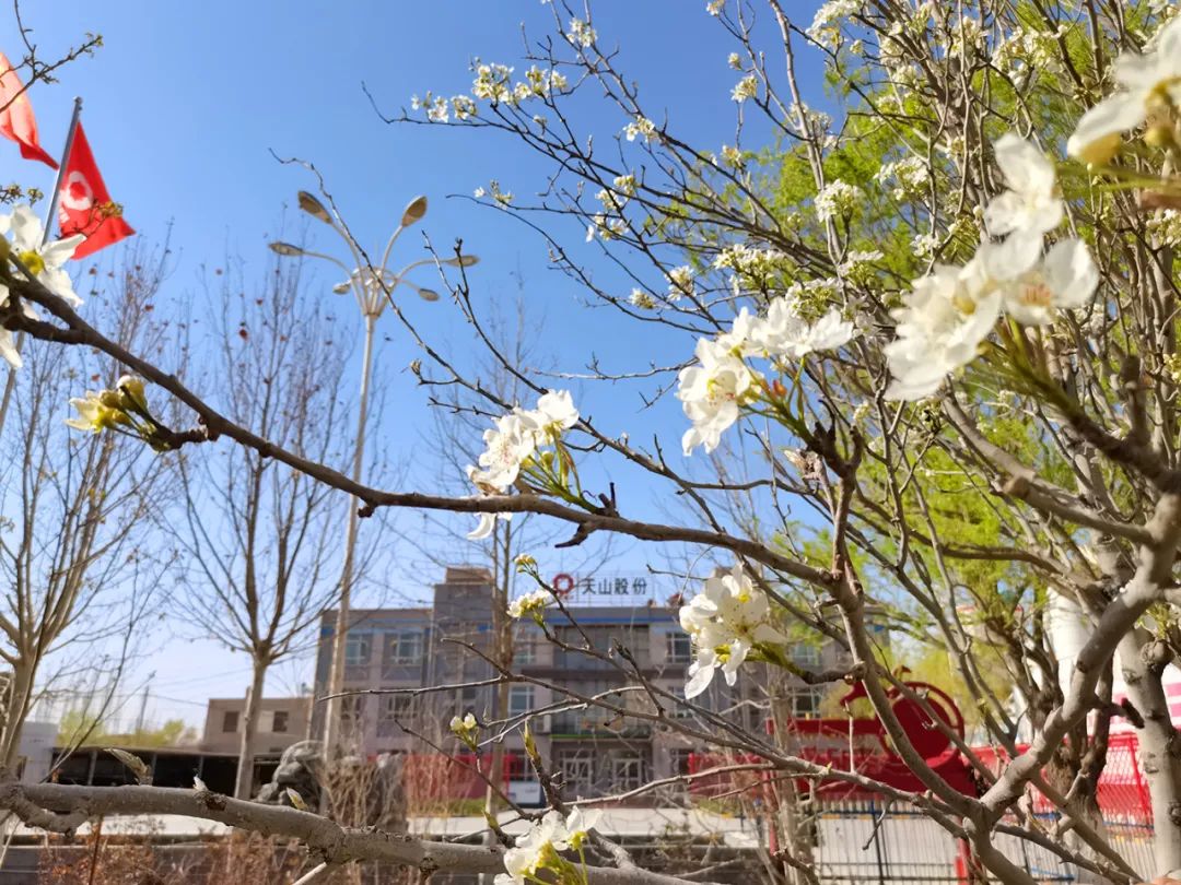 20210406105822063439