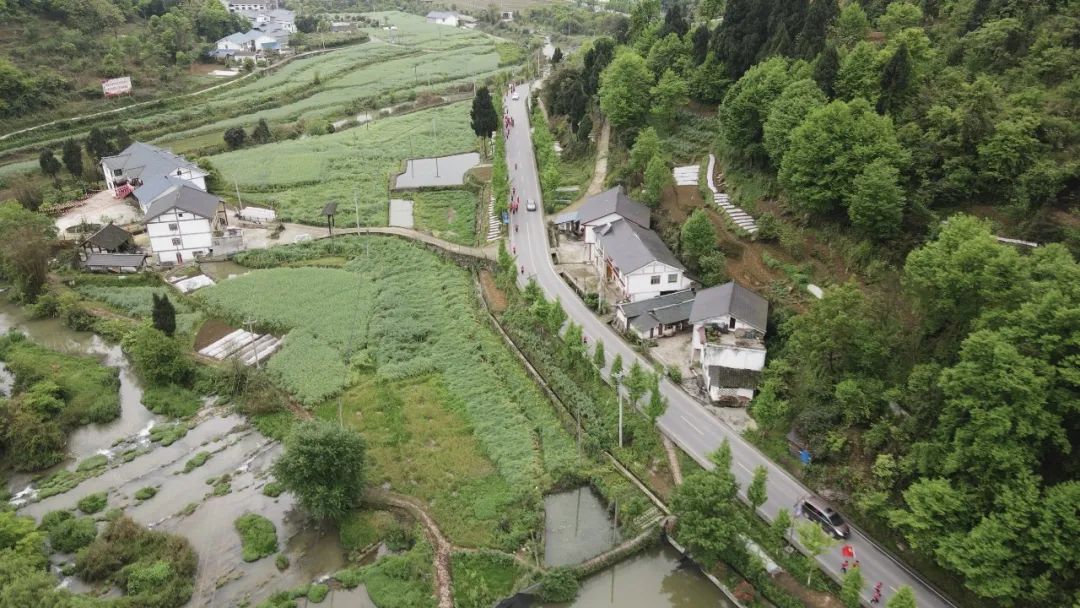 20210416092727748421