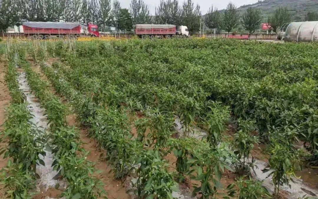 20210729114009124712