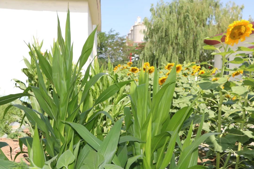 20210729114009187113