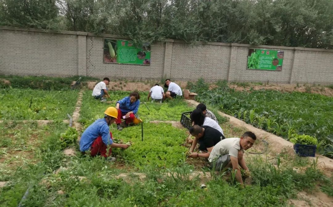 20210729114010762720