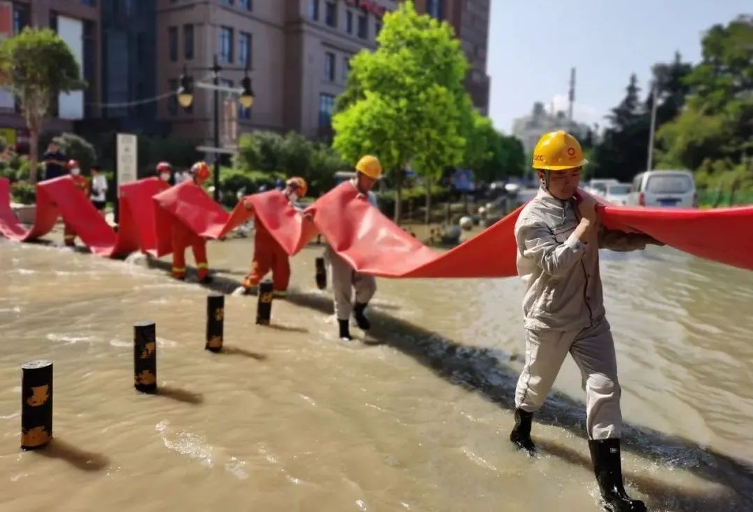 20220105115031741127