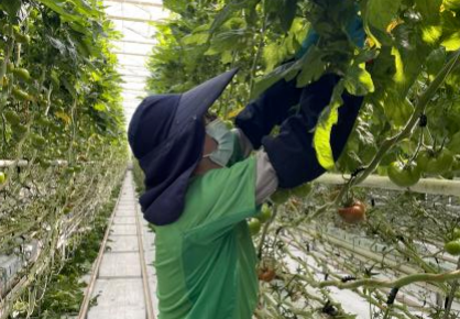 20220321102235567638