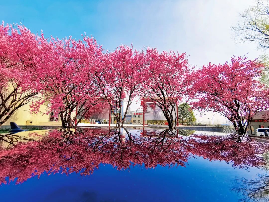 20220406161200613610