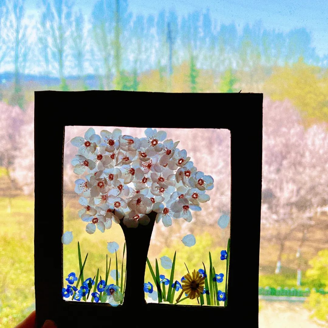 20220406161201168115