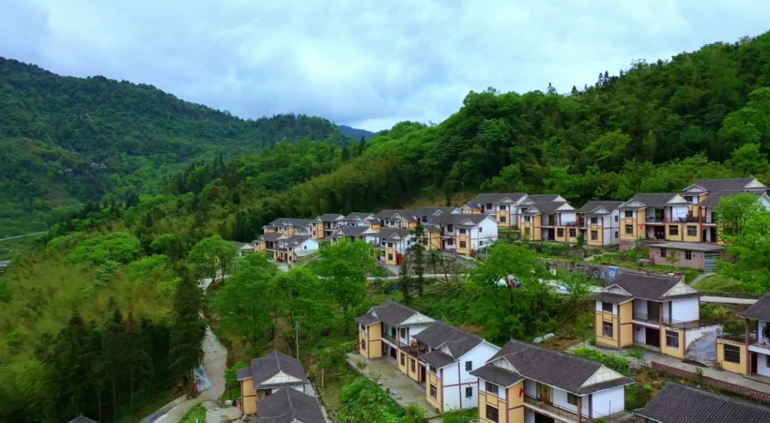 20220614174614043911