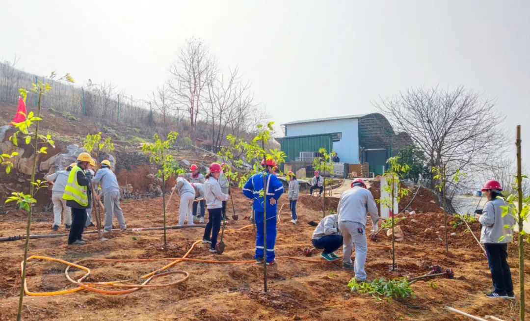 20230314150800648413