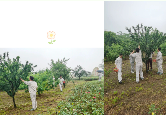 20230707172911098716