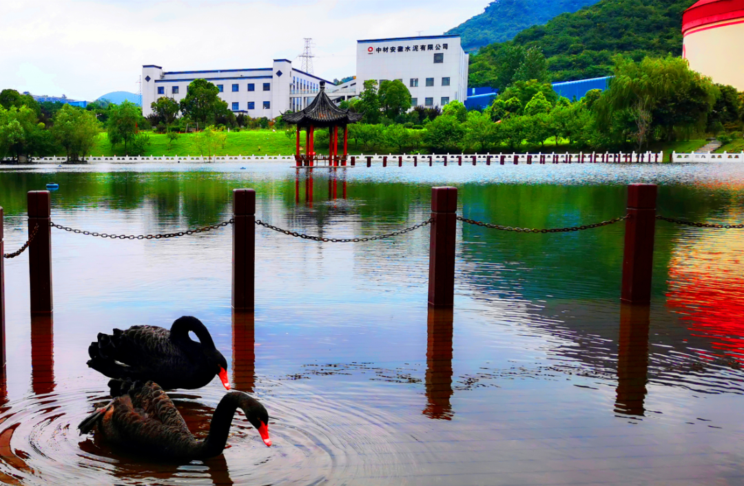 20230707172915199632