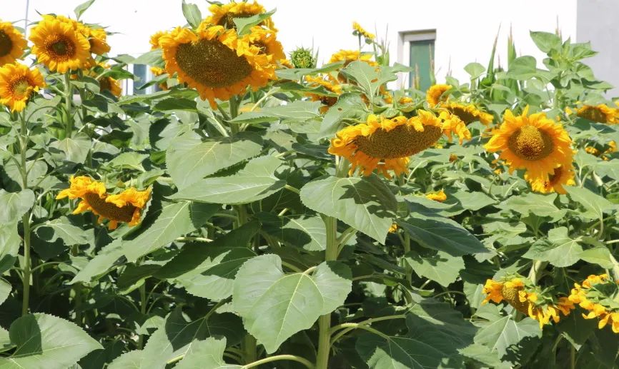 20230821094350658731