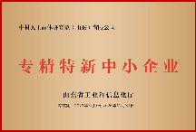 20240304100646191126