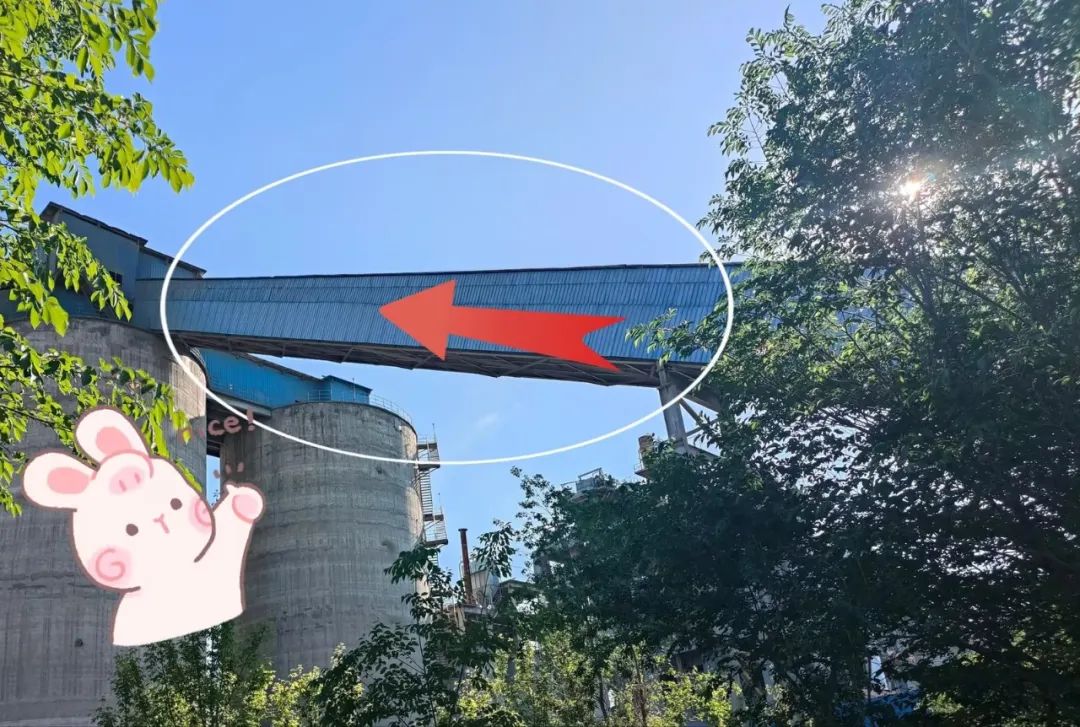 20240603095044732111