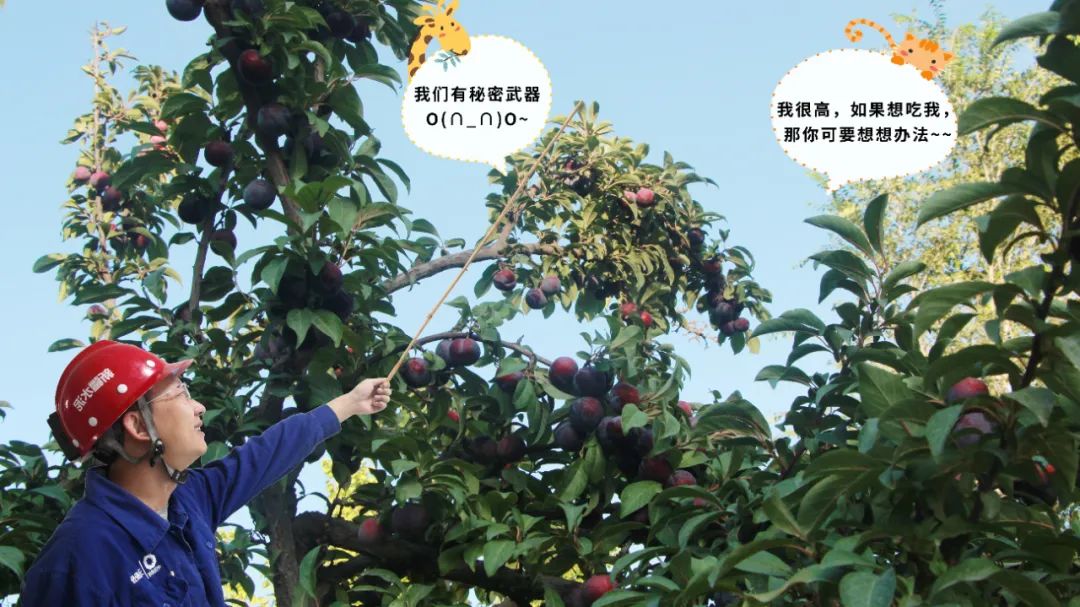 20241028114352477519