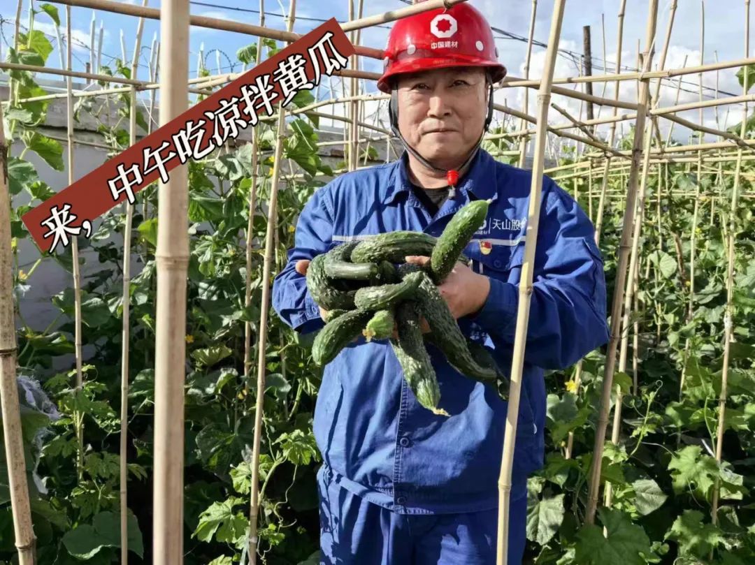 20241028114352617024