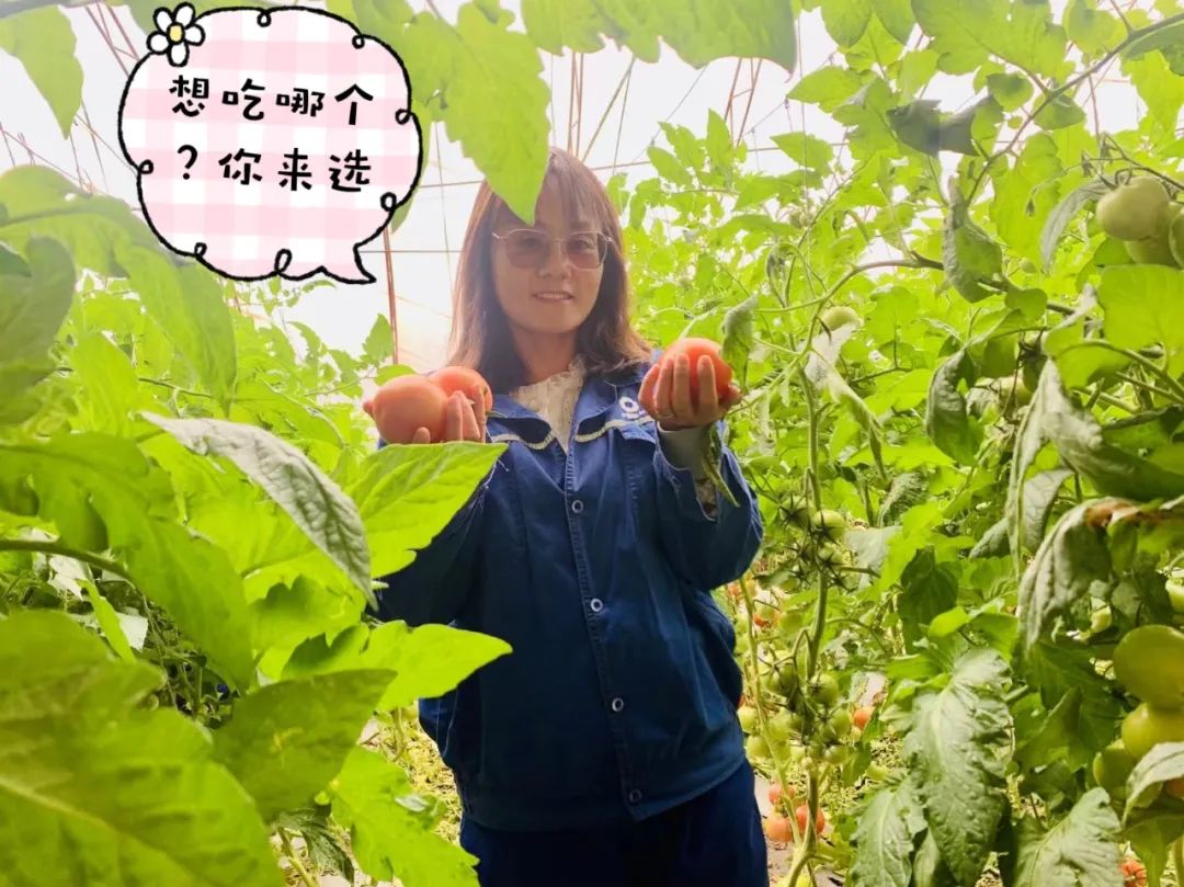 20241028114352833730