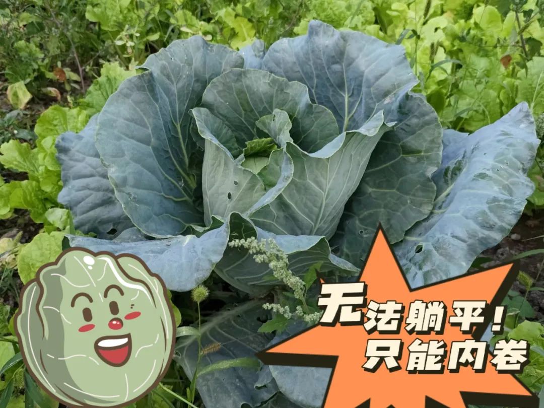 20241028114353163337