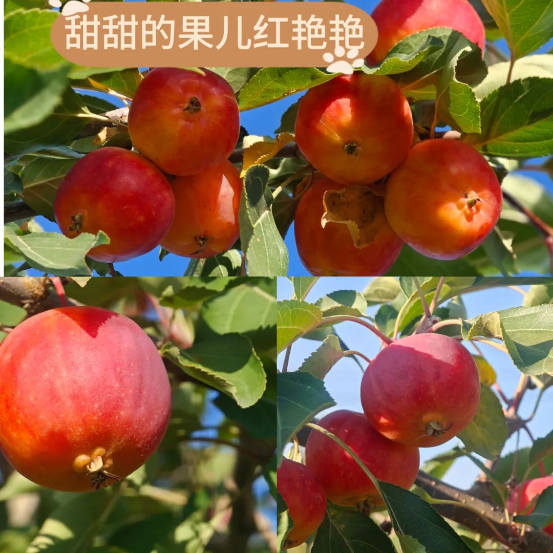 20241028114353369343