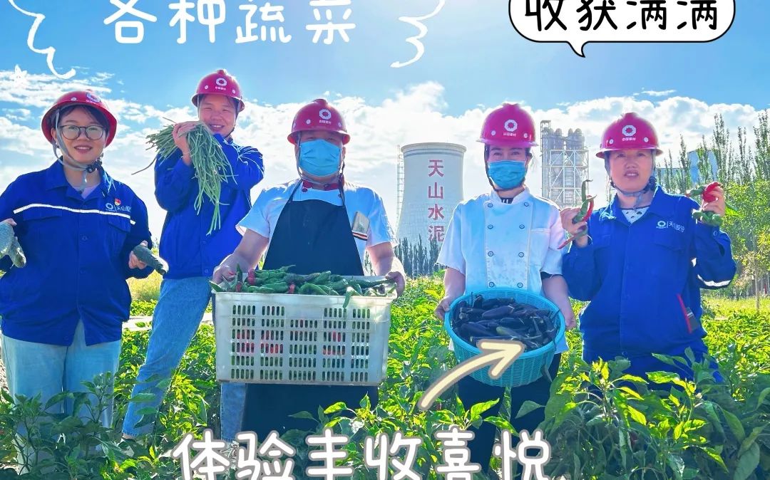 20241118161350435212