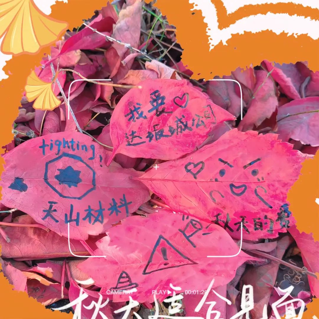 20241118161350714618