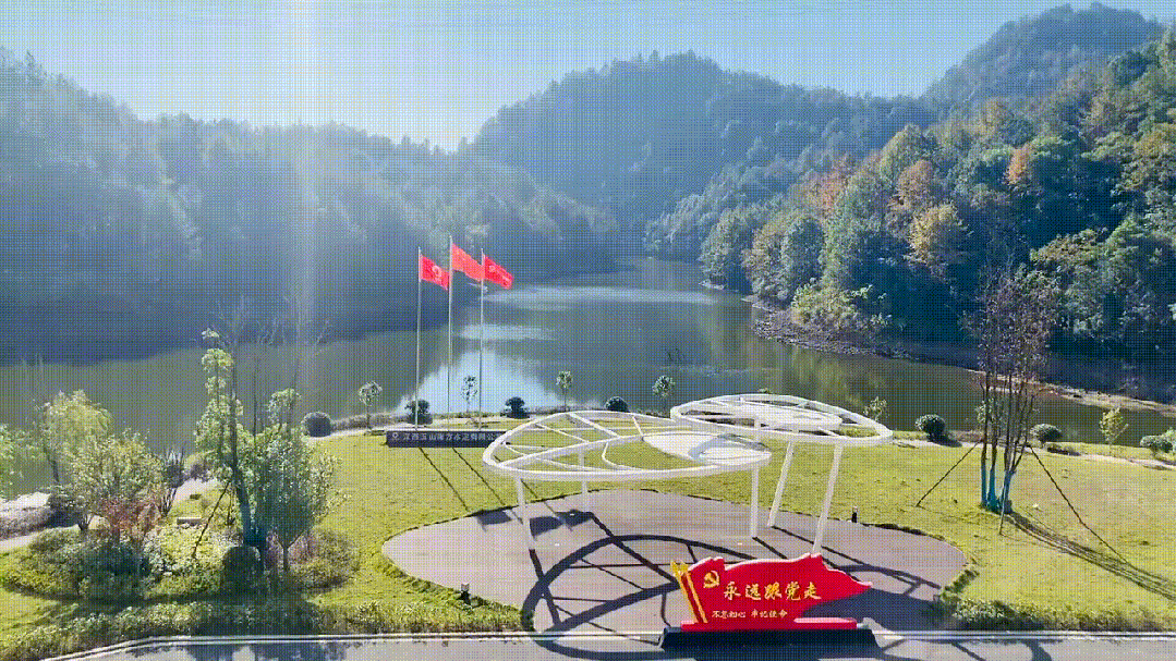 20241118162212488116