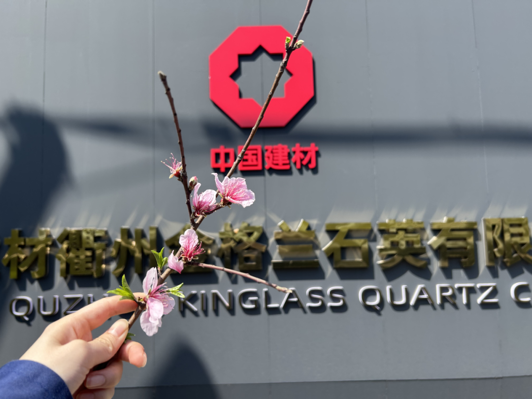 20250407094957125516