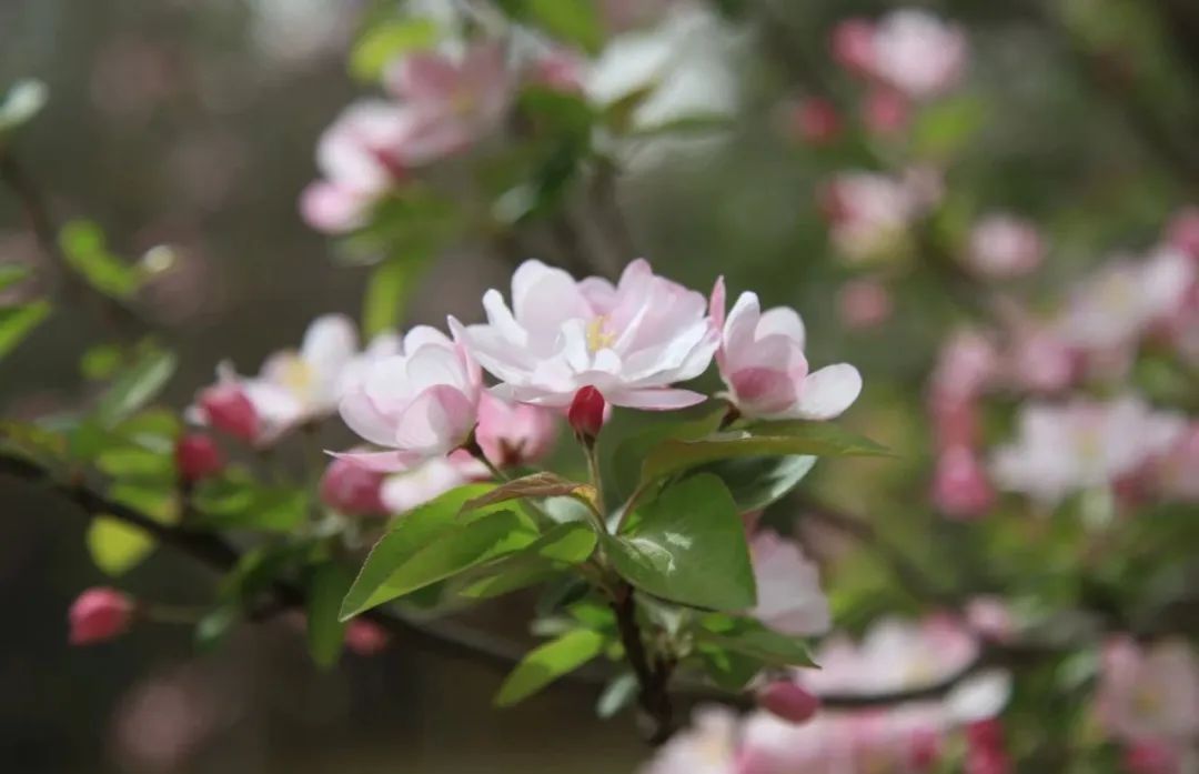 20250421100318560412