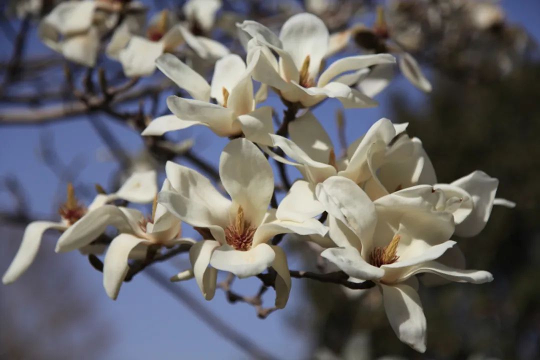 20250421100319007017