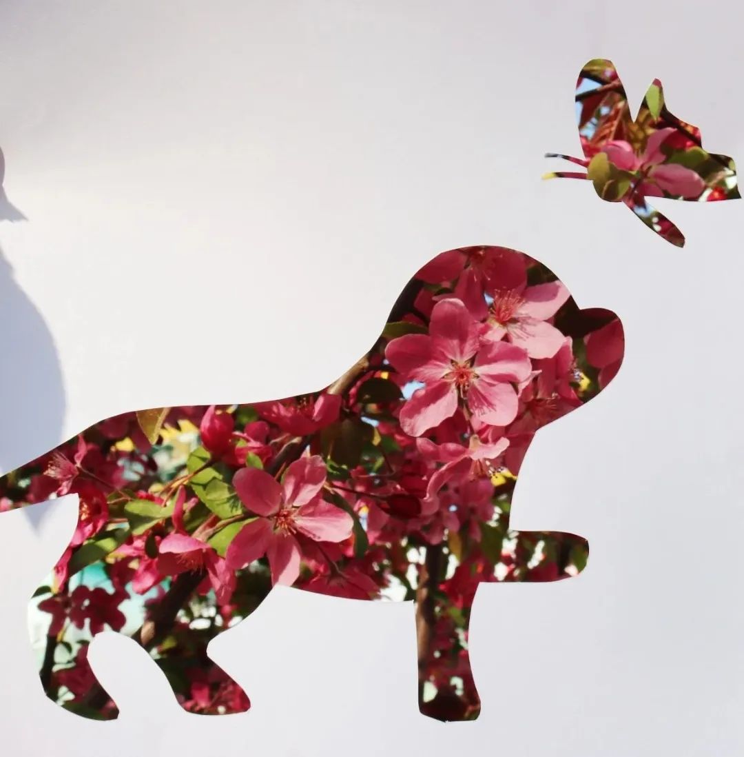 20250421100319204620