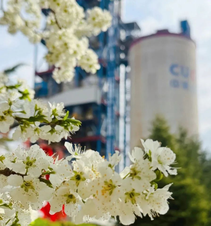 20250421100319276021