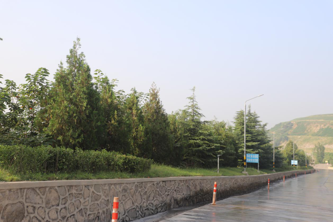 20251223094313561210